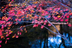 年轻漂亮妈儿子软件下载主界面展示